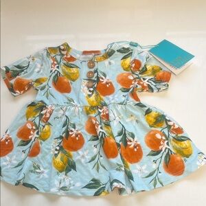 NWT Posh Peanut Multicolor Baby Dress